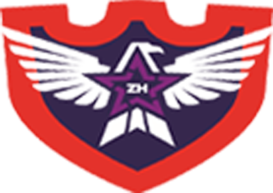 5zh