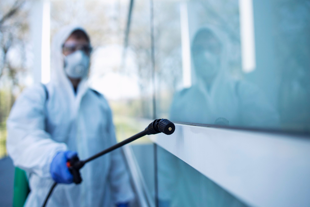 5 Signs You Need Professional Pest Control Services